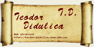 Teodor Didulica vizit kartica